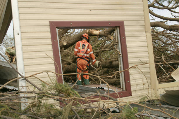  North Manchester, IN Tree Removal Pros